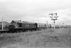 Australind Daylight Express at Brunswick Junction.jpg