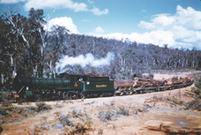 Baldwin Black Butte on the Banksiadale timber train
