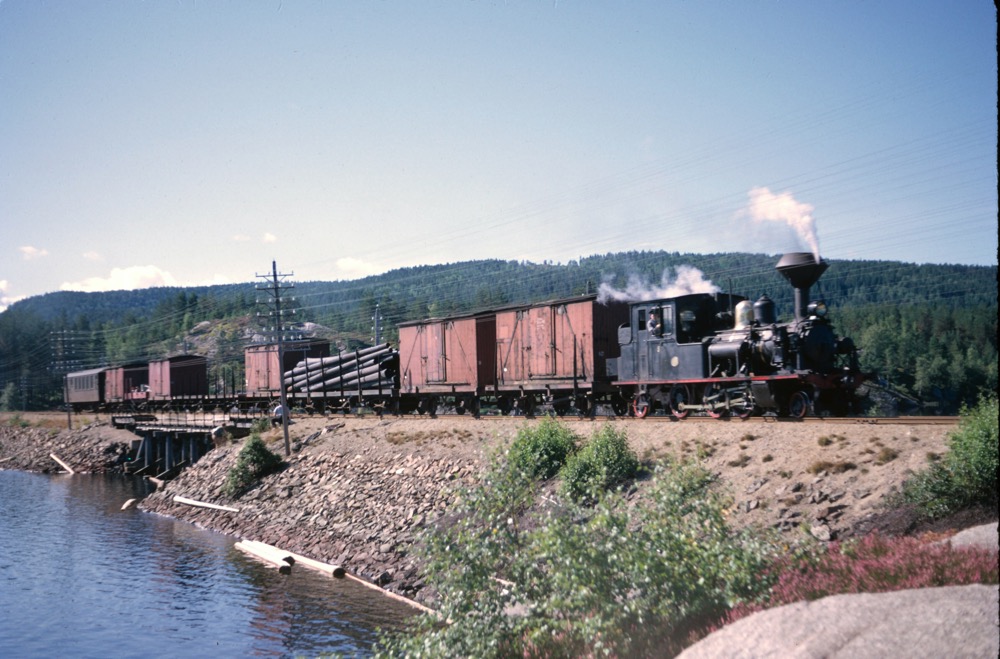Freight train with a selection of wagons