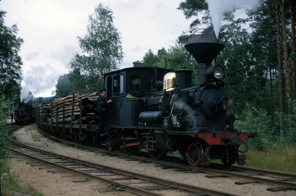 The 2-4-2t on a timber train