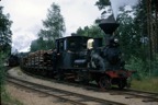 The 2-4-2t on a timber train.jpg