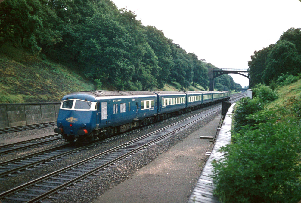 Blue Pullman in Sonning Cutting