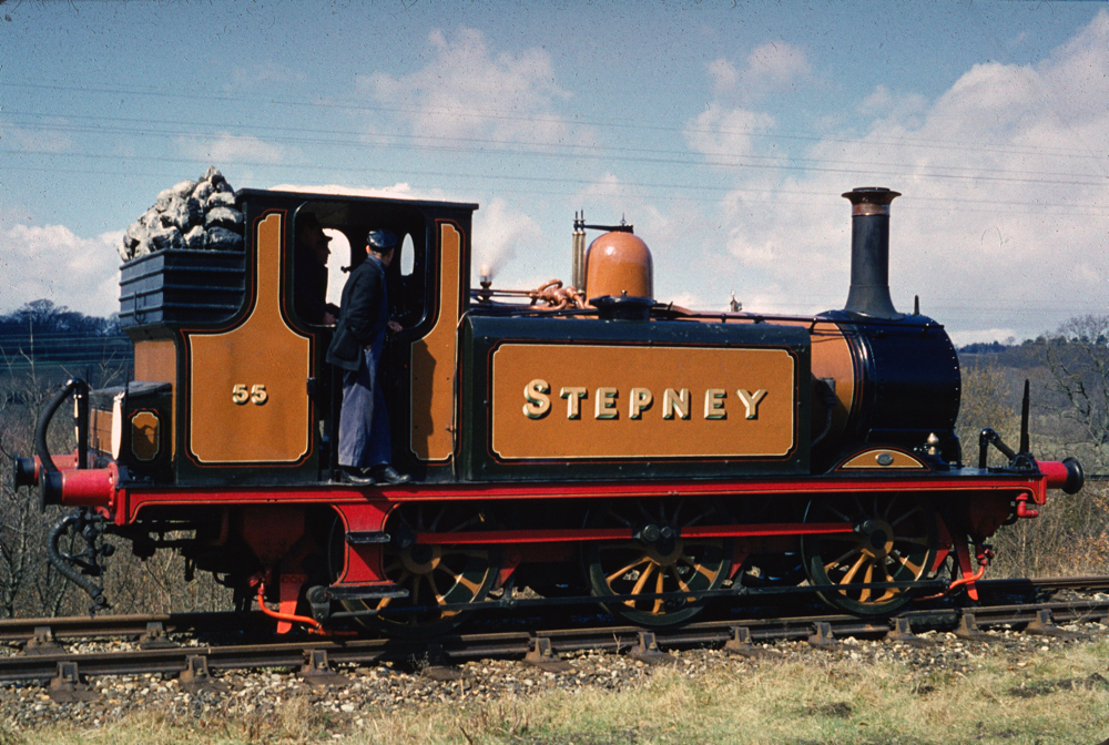Stepney at the Bluebell
