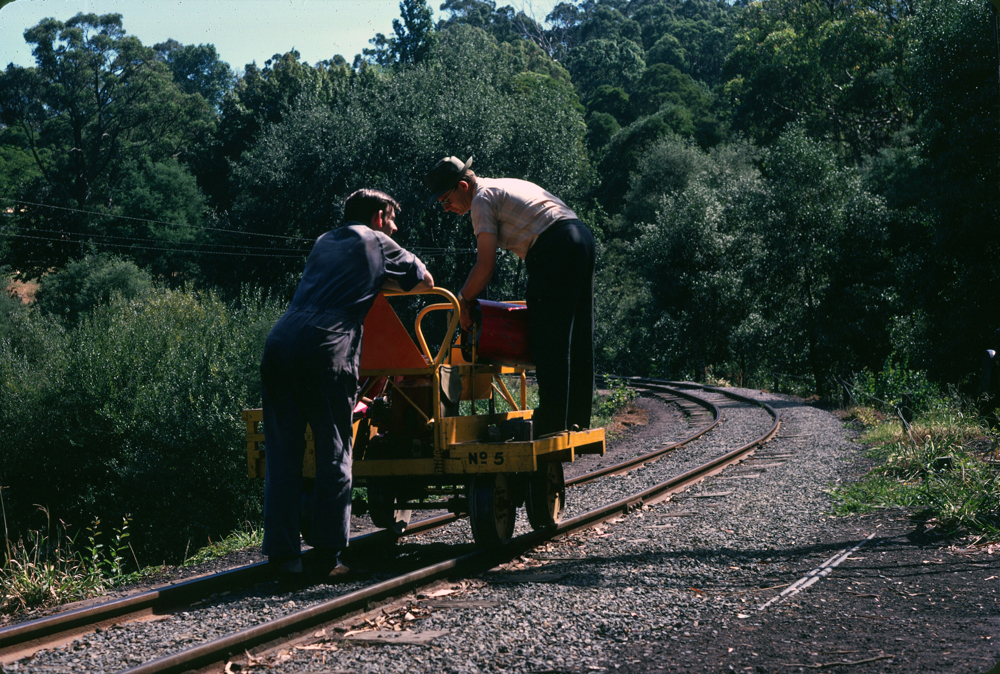 Puffing Billy trolly